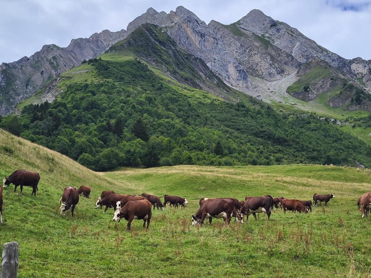 La Petite Anfiane Villa Le Grand-Bornand Ngoại thất bức ảnh